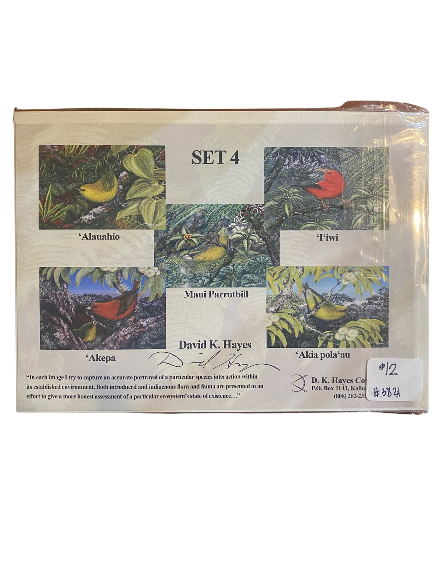 Native Bird Greeting Cards Set of 5 'Alauahio