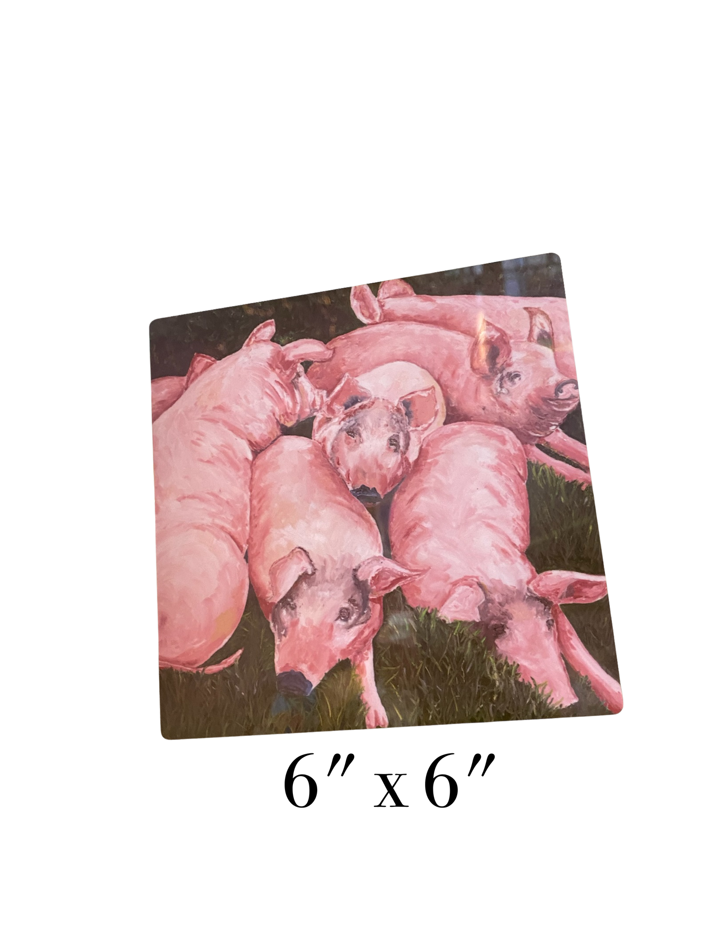 Pua'a Pack - Aluminum Print