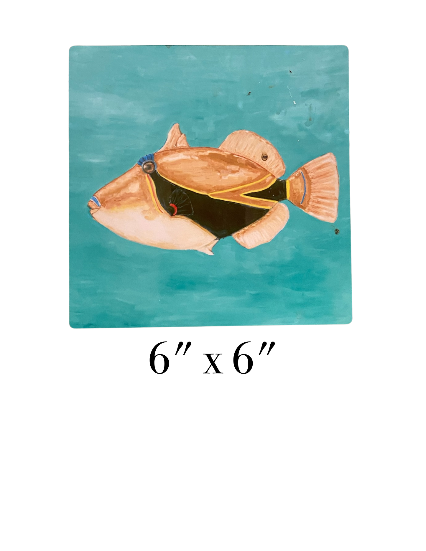 Humuhumunukunukuapua'a - Aluminum Print