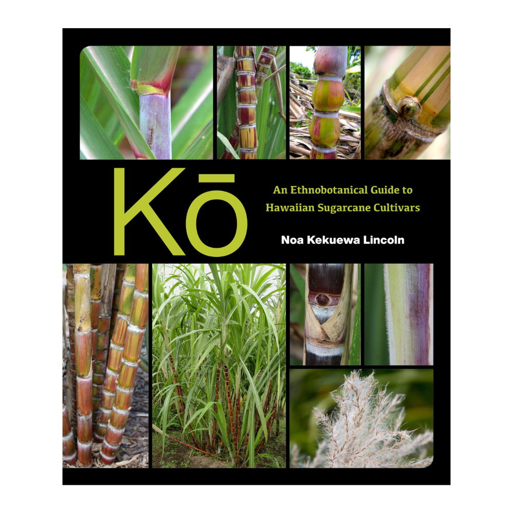 Kō: An Ethnobotanical Guide to Hawaiian Sugarcane Cultivars by Noa Kekuewa Lincoln