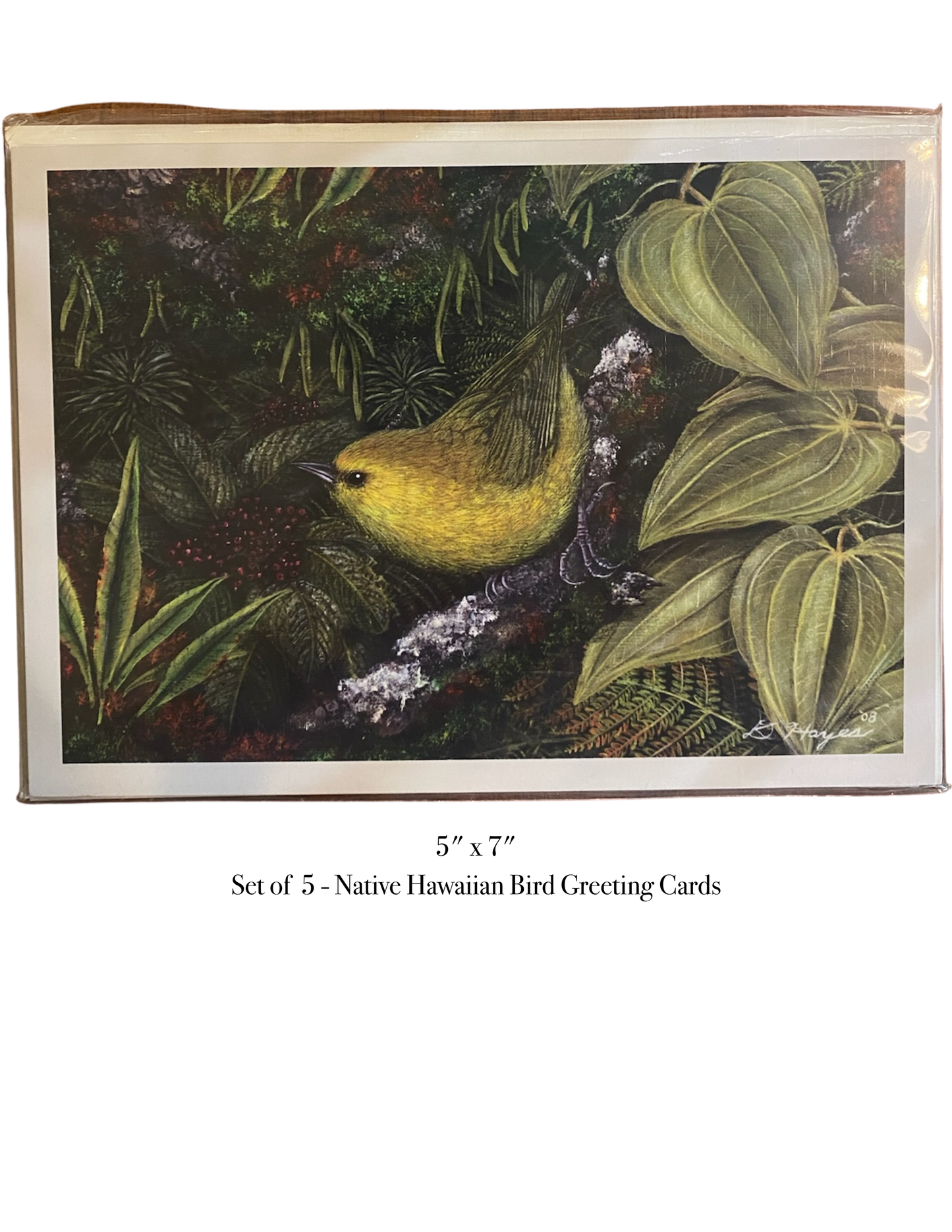Native Bird Greeting Cards Set of 5 'Alauahio