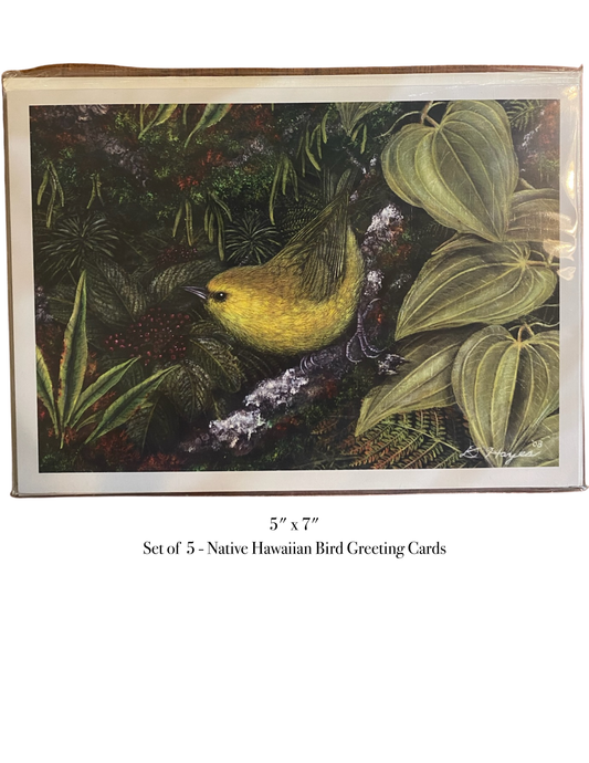 Native Bird Greeting Cards Set of 5 'Alauahio