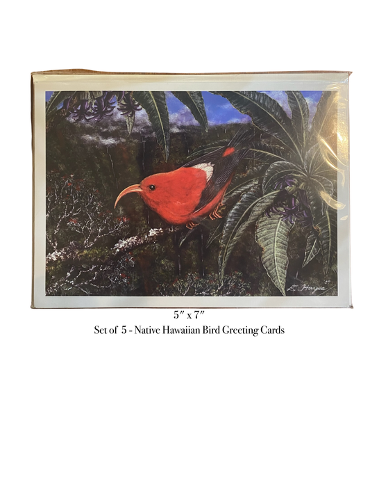 Native Bird Greeting Cards Set of 5