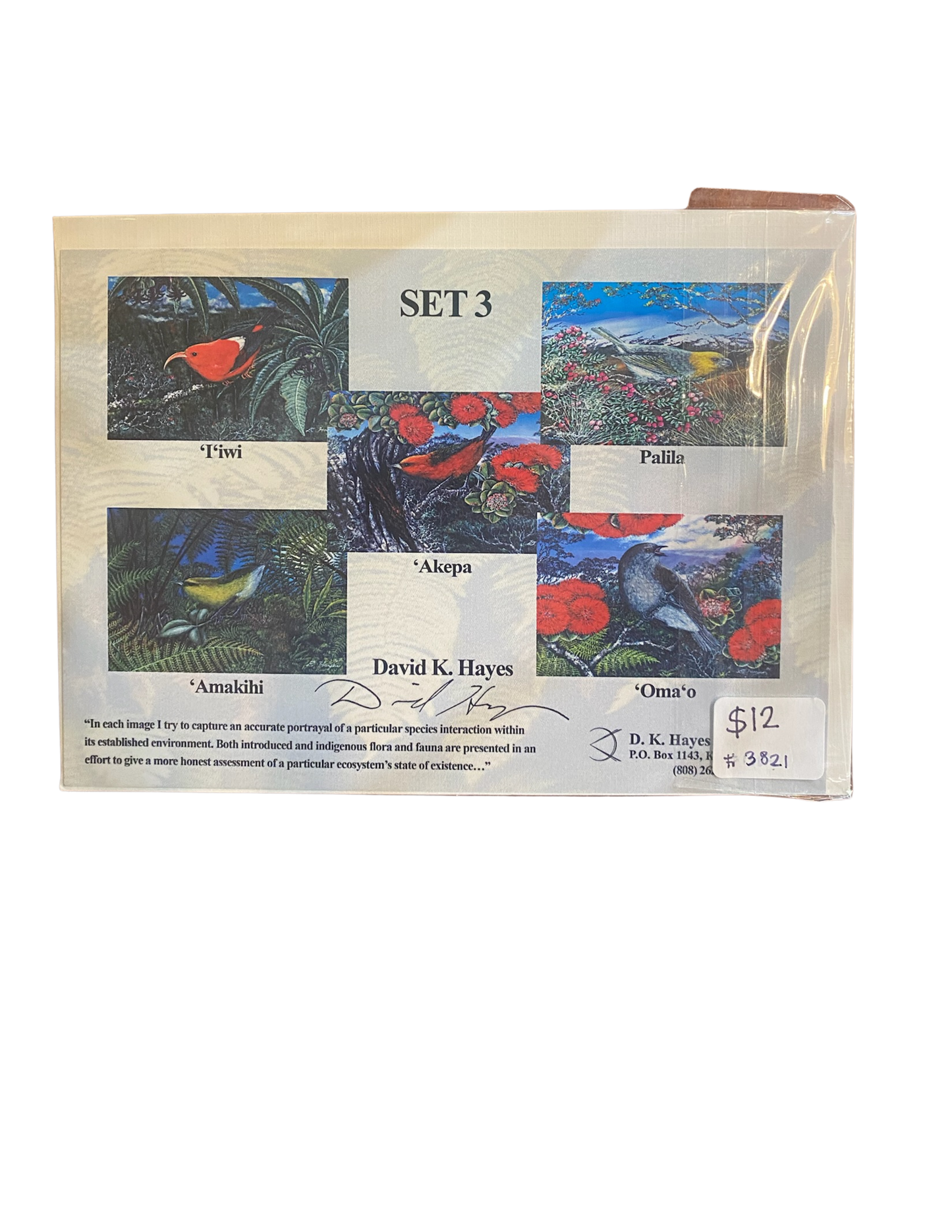 Native Bird Greeting Cards Set of 5