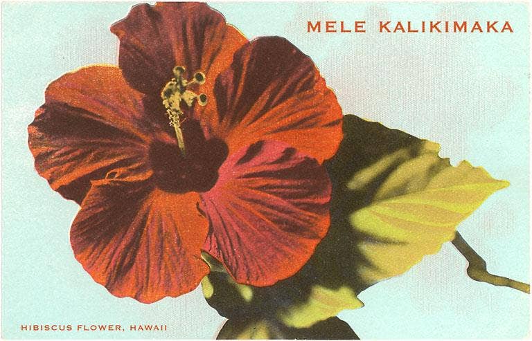 Greeting Card Mele Kalikimaka, Hibiscus Blossom
