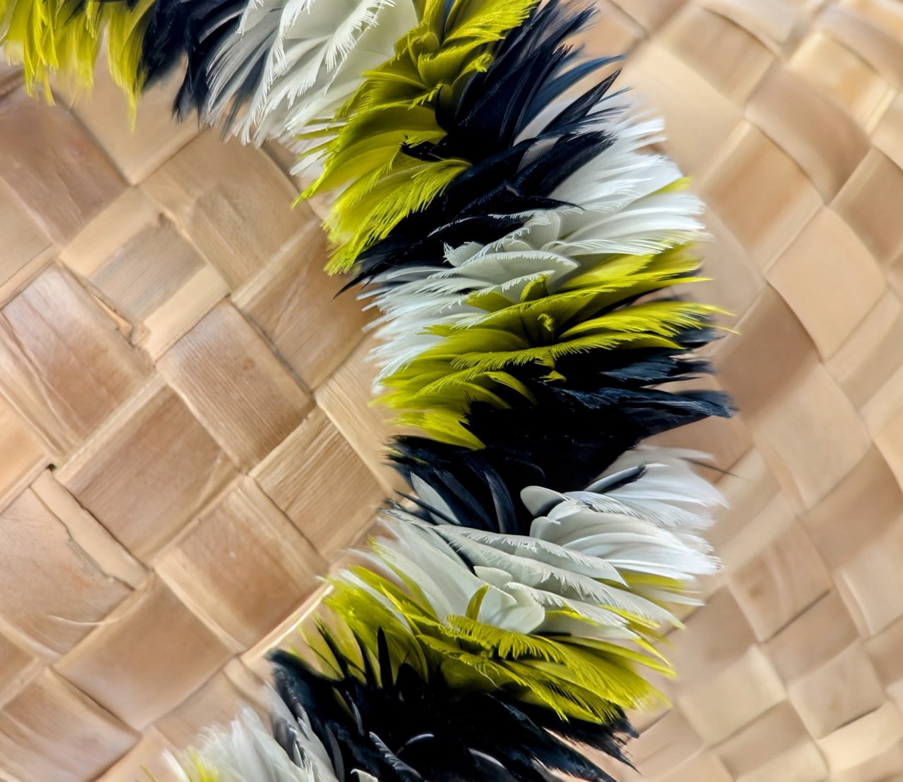 Lei Hulu with Shadow Box