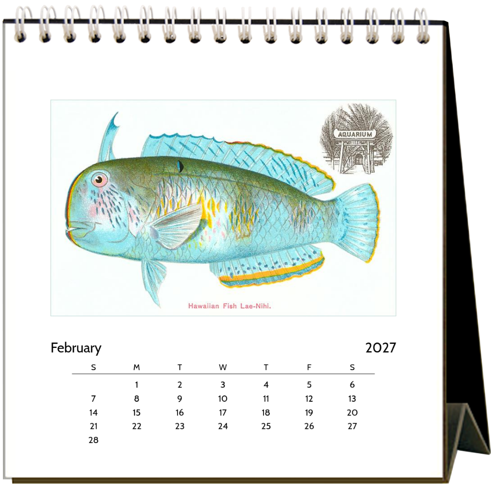 Hawaii 2027 Desk Calendar